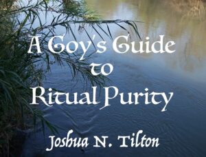 A Goy's Guide to Ritual Purity title image