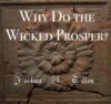 Why Do the Wicked Prosper?